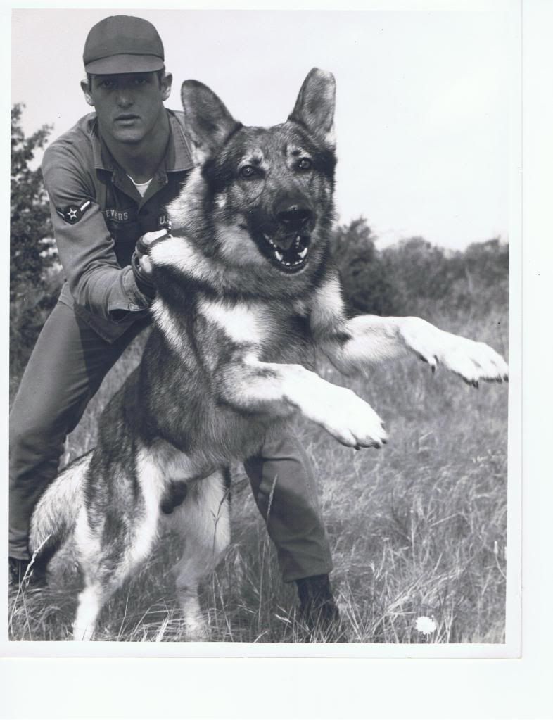 Here Is A Great Review Siteif You Are Looking For Training Help Http Dogtraining Y5txhmn0 Reviewsatbest Com Dog Training Train Police