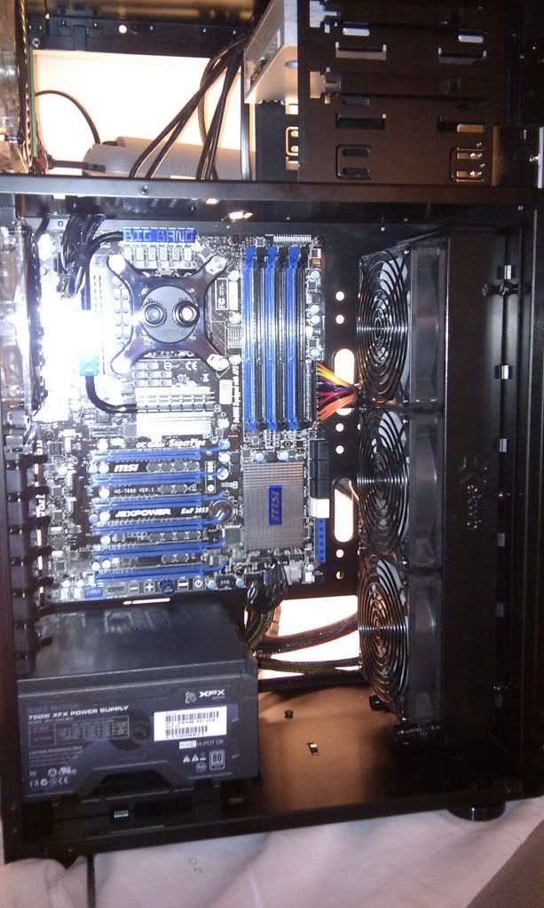 IMAG0071.jpg