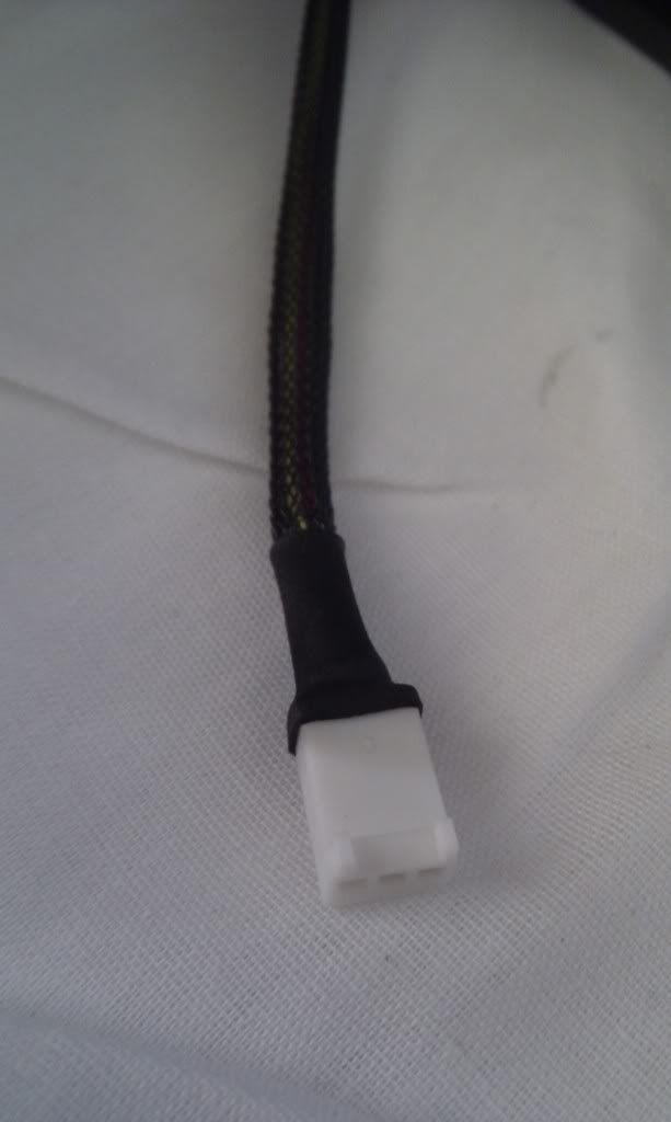 IMAG0088.jpg