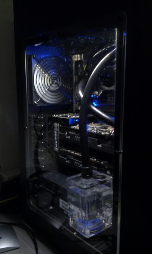 IMAG0097.jpg