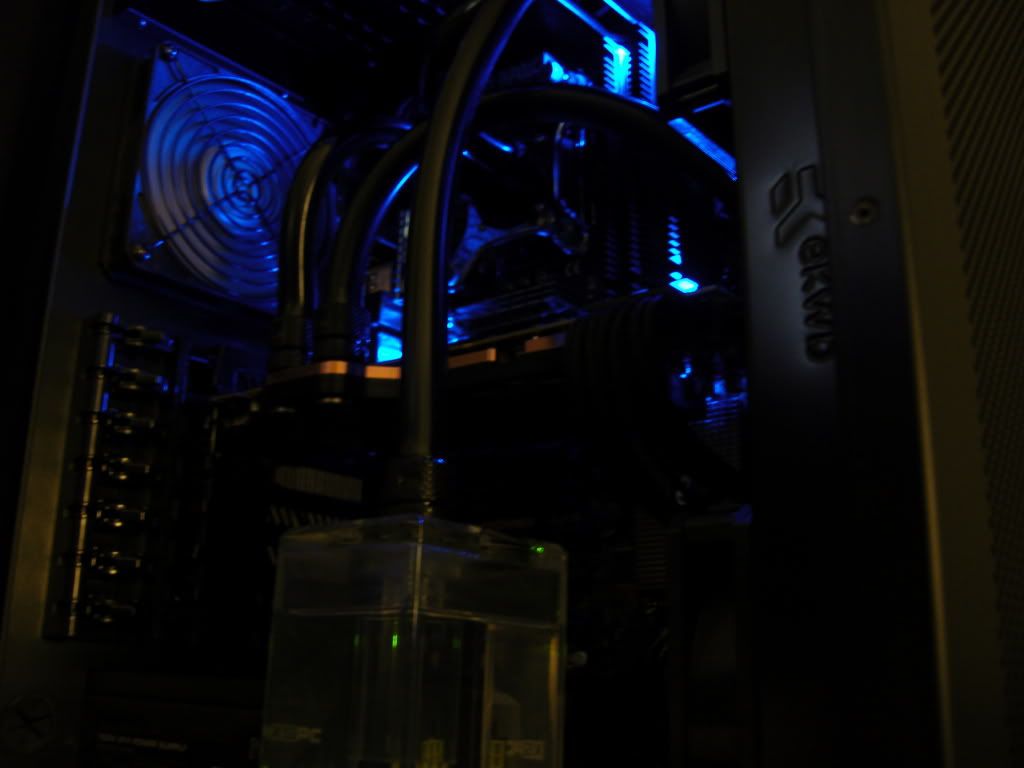 SNV80749.jpg