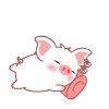 pig Pictures, Images and Photos
