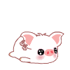 pig Pictures, Images and Photos