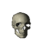 skull.gif