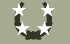 GENERAL DE EJERCITO GENERAL DE EJERCITO