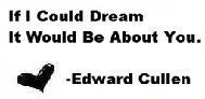 If i could dream , It would be about you