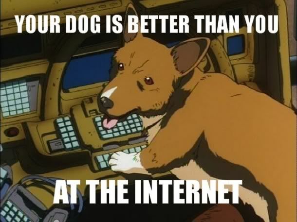 internetdog.jpg