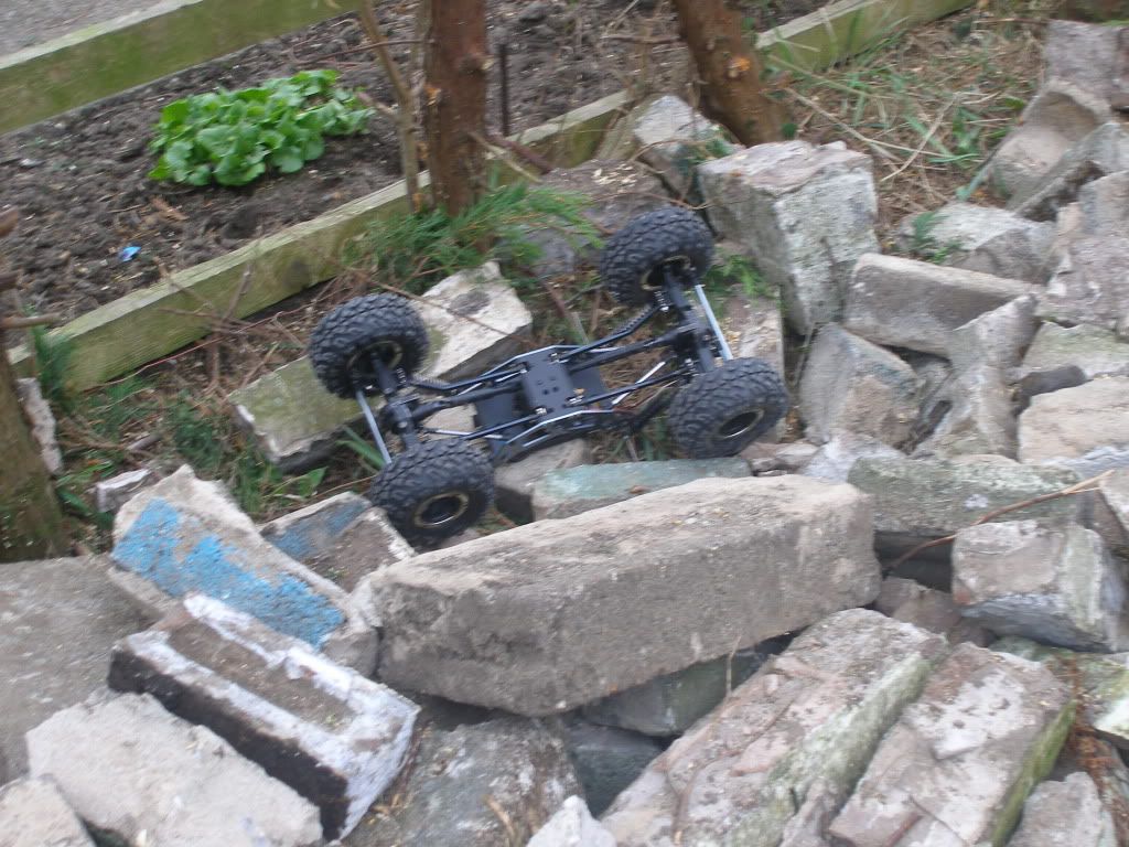 Posted Image