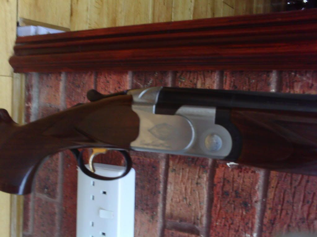 gun2.jpg