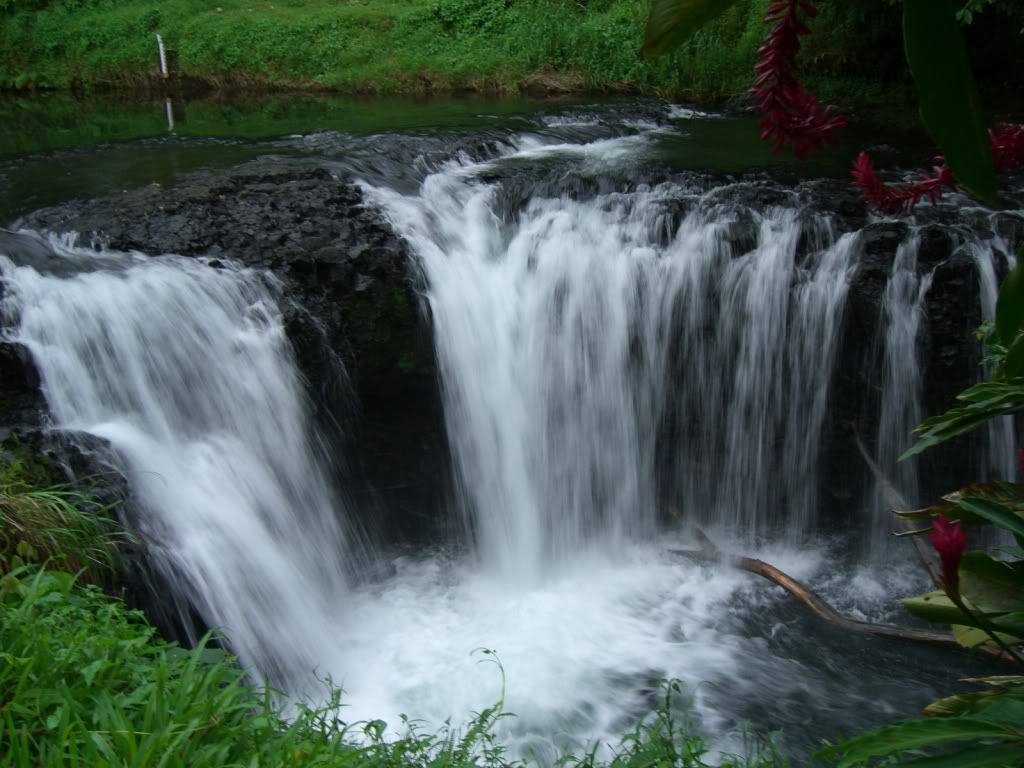 CIMG0185.jpg