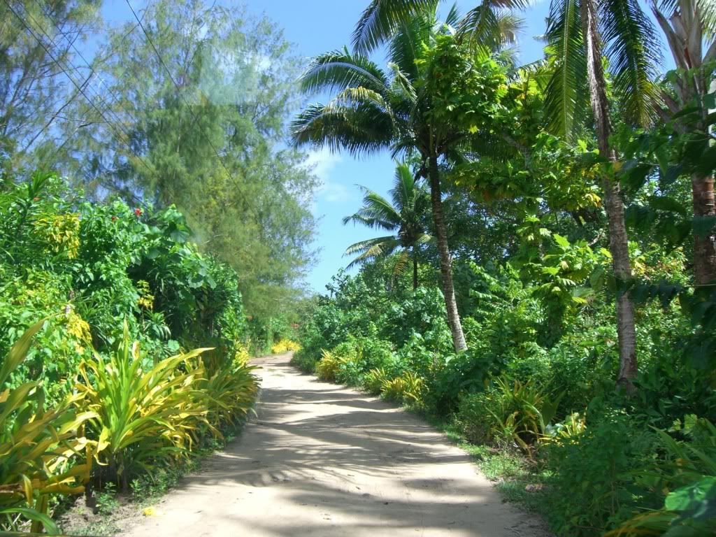 CIMG0224.jpg