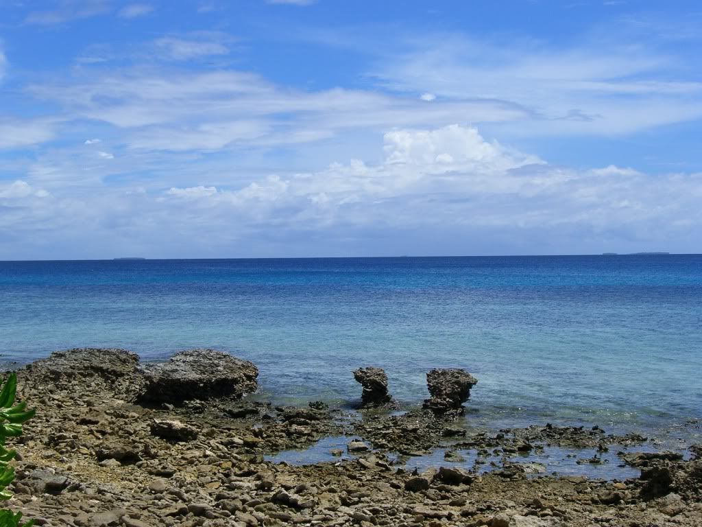 CIMG0317.jpg