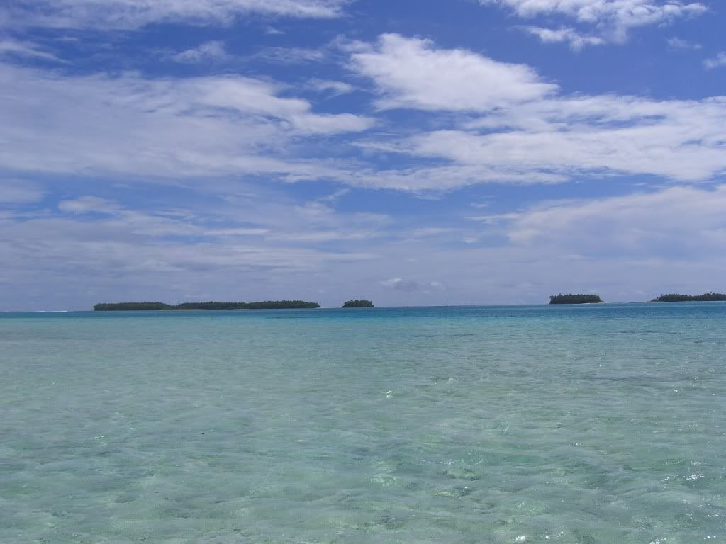 CIMG0384.jpg