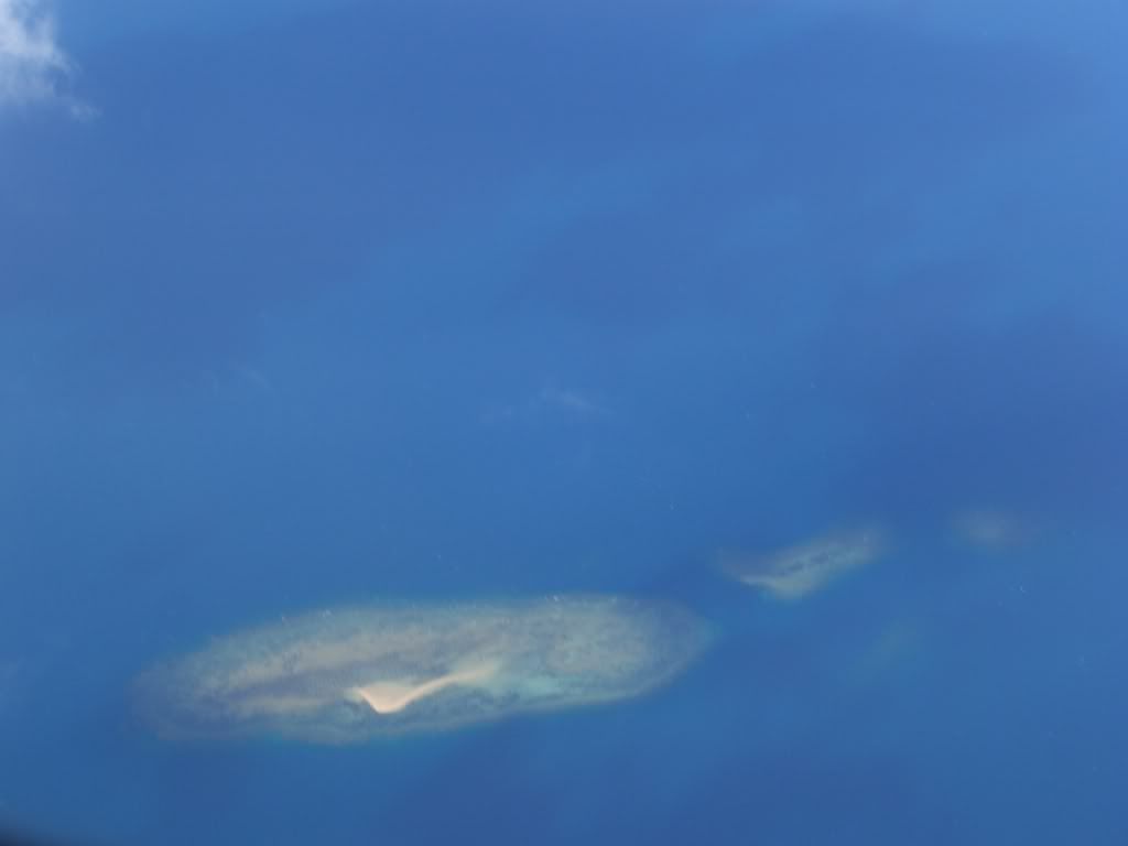 CIMG0468-1.jpg