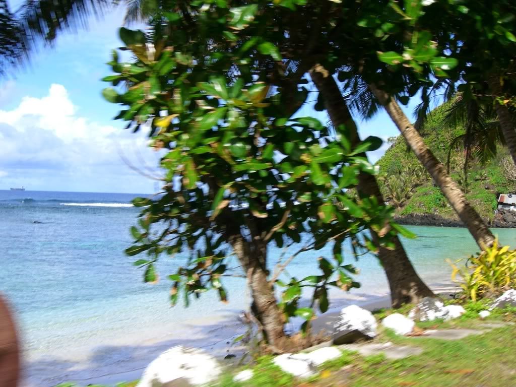 CIMG0659.jpg
