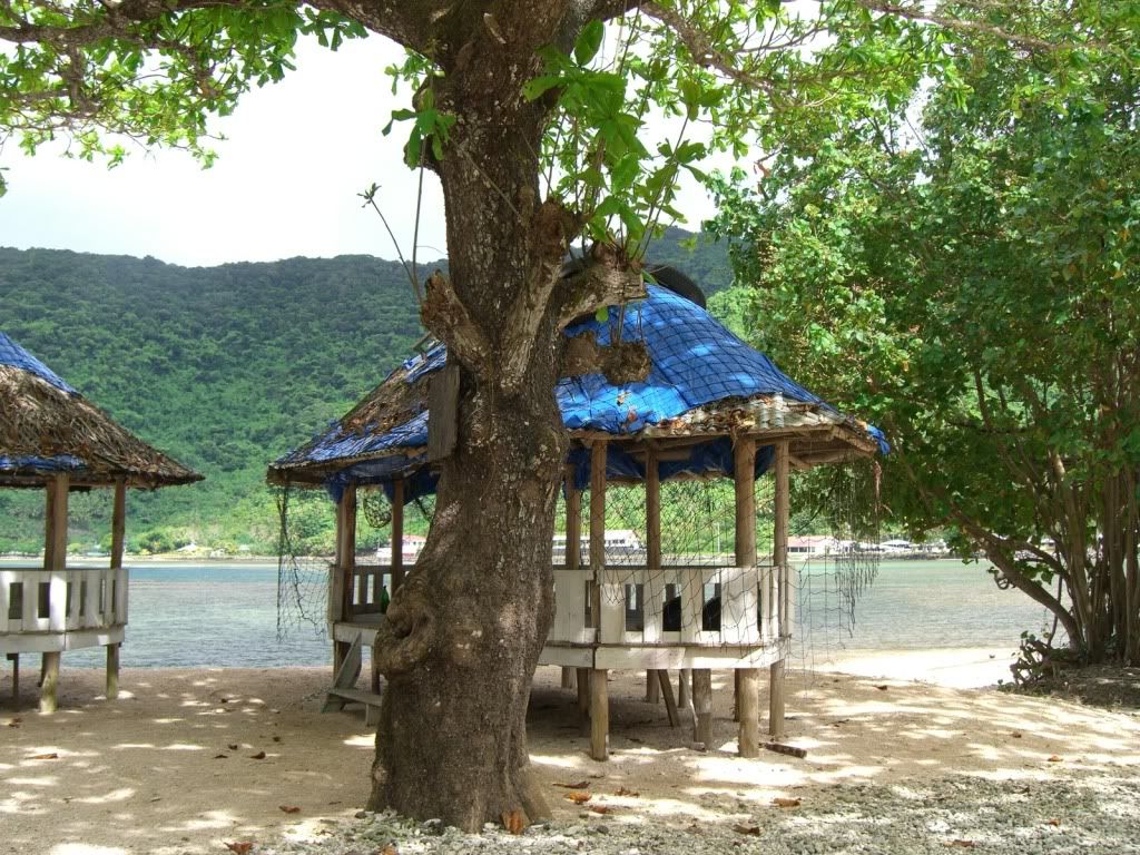CIMG0681.jpg