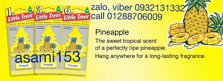 CÂY THÔNG THƠM (Little-trees) - 22