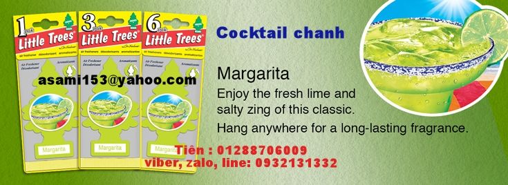 CÂY THÔNG THƠM (Little-trees) - 31