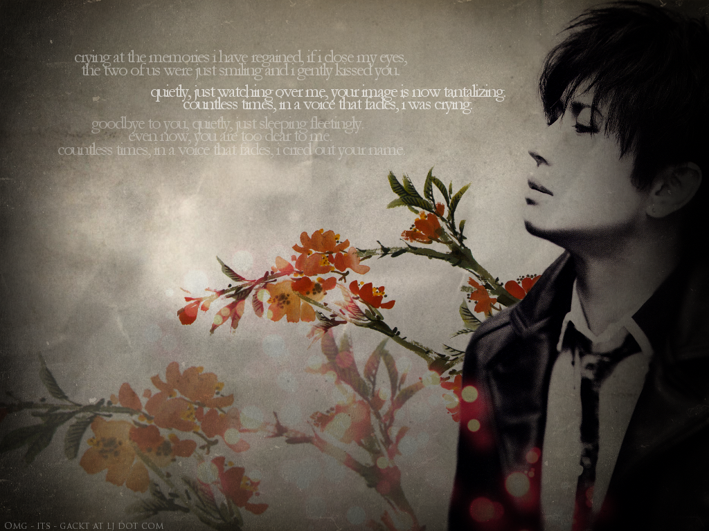 http://i487.photobucket.com/albums/rr237/hitomi2oo7/Gackt/Oblivious__Faceless_Angel__by_iwann.png