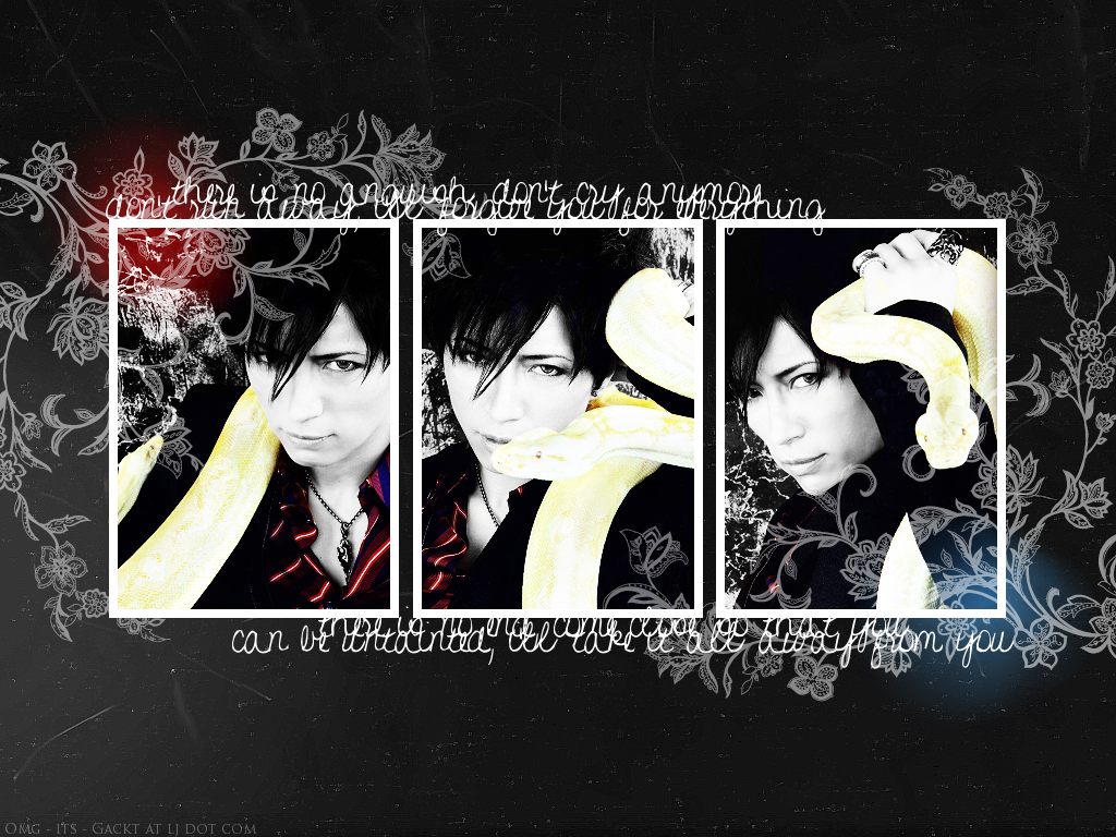 http://i487.photobucket.com/albums/rr237/hitomi2oo7/Gackt/Untainted___Maria_by_iwannabegackt.png