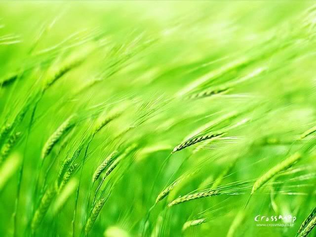 beautifulscenery654.jpg