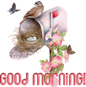 good morning Pictures, Images and Photos
