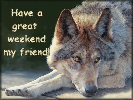 wolf weekend Pictures, Images and Photos