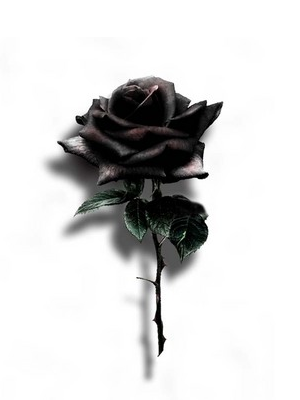 black-rose.png Photo by roxiez_ | Photobucket