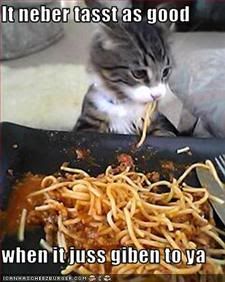 Kitten,Food