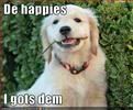 dog,Happy