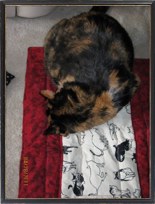 Amber,Pootie Pad,Frame,Diary PP