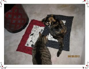 Frame,Pootie Pad,Figero and Amber,Diary PP