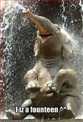 Elephant,Fountain