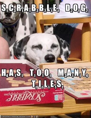 Dog,Dalmatian,Scrabble