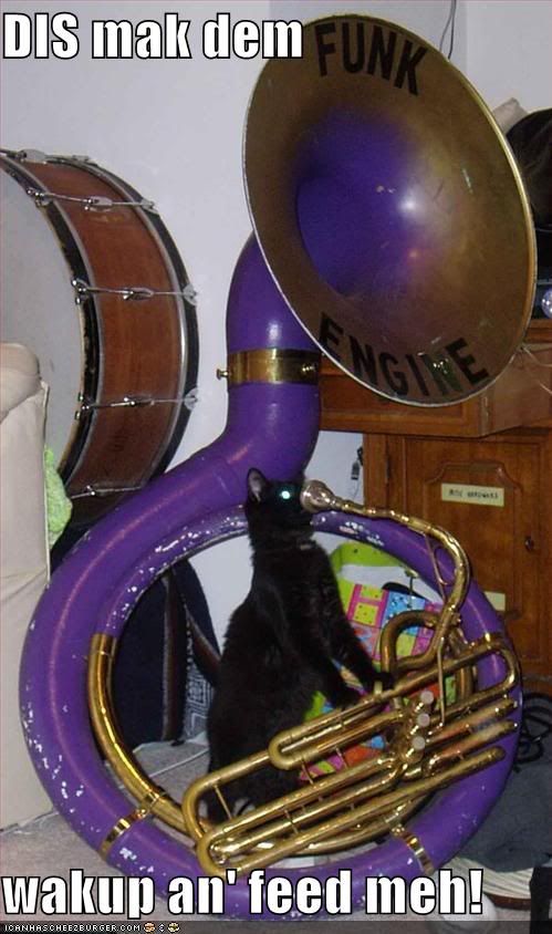 Cat,Tuba,Wake,Food