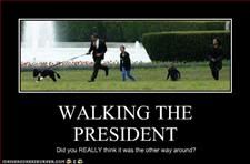 Dog,Obama,Framed
