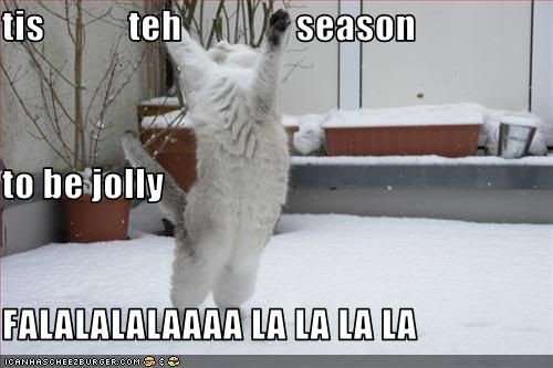 Holiday,Cat,Snow