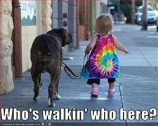 Dog,Baby,Child,Walk