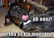 Dog,Tickle,LOL
