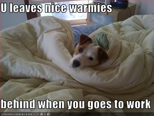 Dog,Work,Beds,Warm