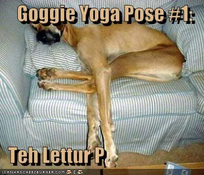 Dog,Yoga,LOL