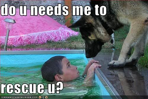 Dog,Child,Rescue