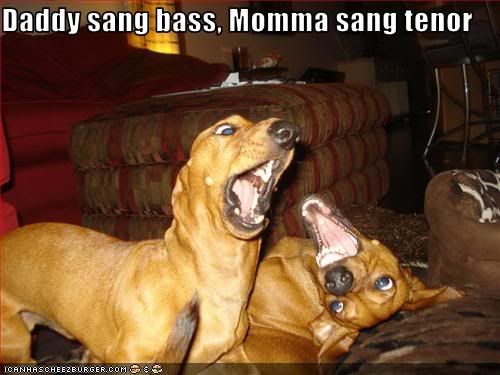Dogs,Music,Singing