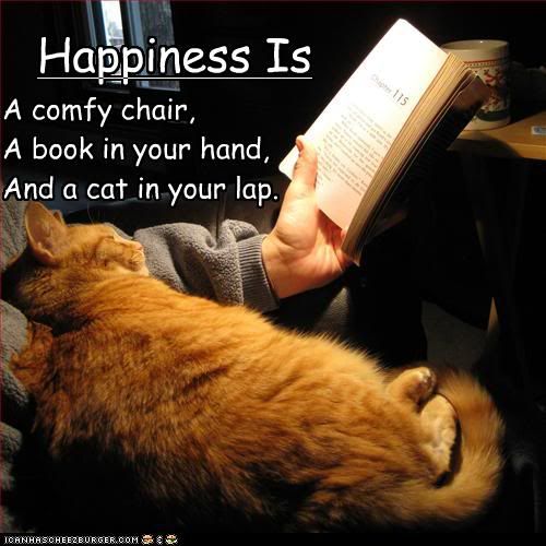 Happiness,Cat,Human,Book