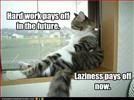 Cat,Work,LOL,HWYD Diary