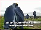 Penguins,Sad,LOL,HWYD Diary