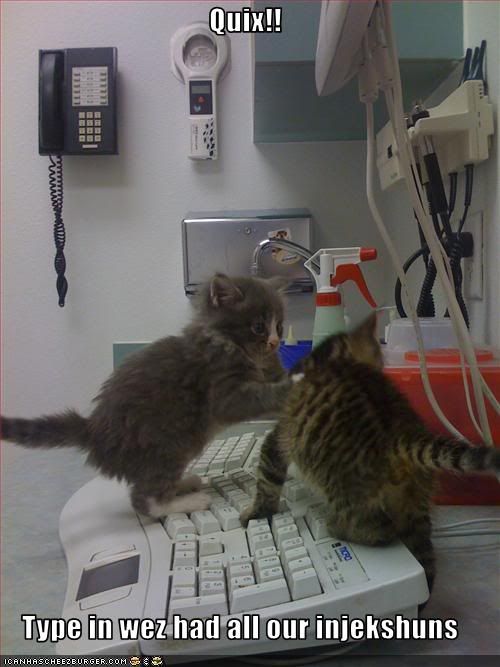 Kitten,Computer,Vet