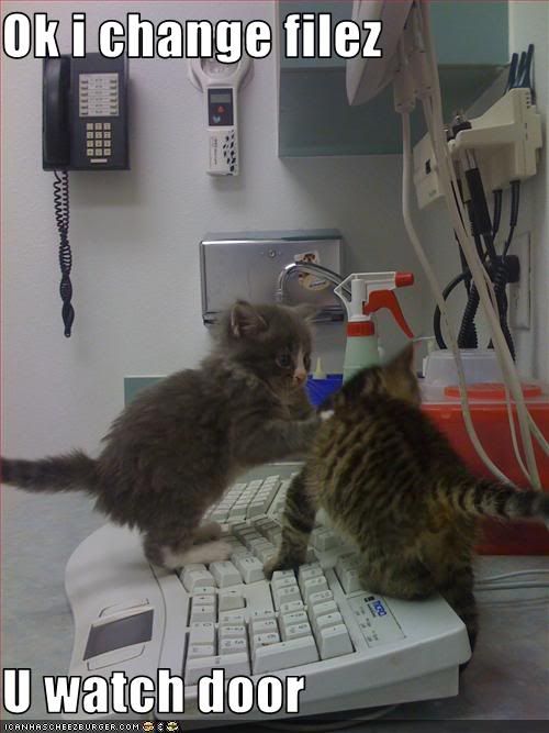 Cats,Computer,Vet