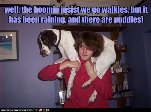 Dog,Walk,Human,Stormy,Mud