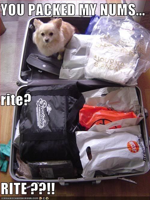 Dog,Food,Travel,Suitcase